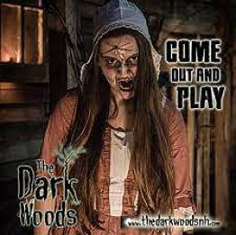 The Dark Woods
Haunted Attraction